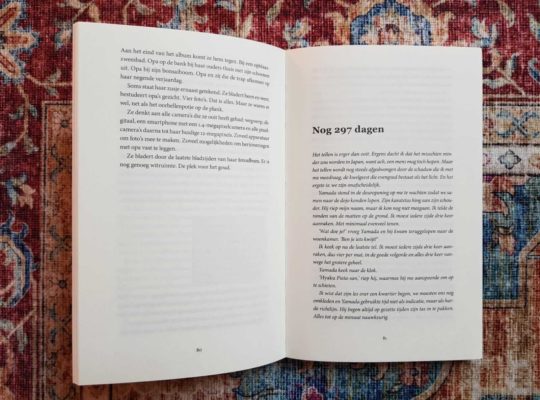 Structuur van een boek: verschil in perspectief per hoofdstuk in het debuut Niemand zoals hij dagboekvorm